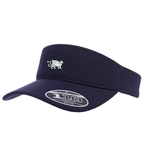 flexfit visor